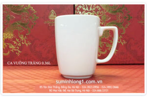 ca vuong 1 mhd